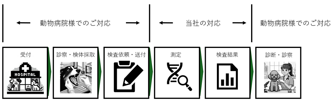 動物用検査 運用の流れ